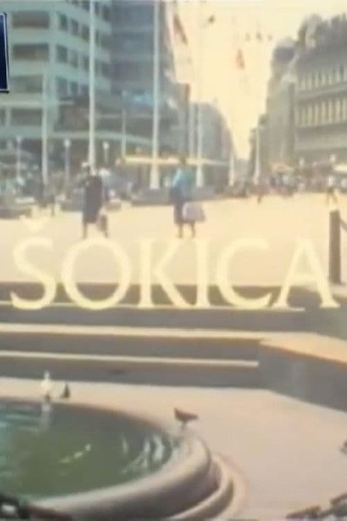 A Shokac Woman poster