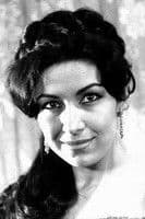 Alev Gürzap profile photo