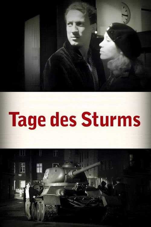 Tage des Sturms poster