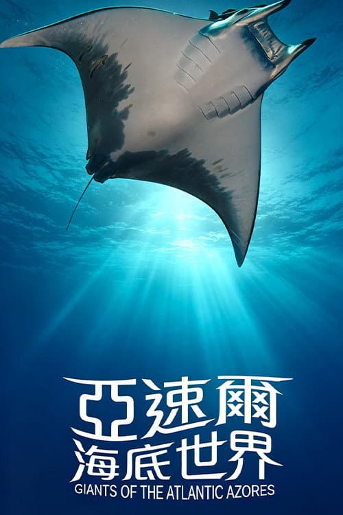 亚速尔海底世界 poster