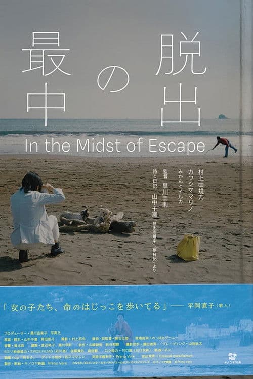 脱出の最中 poster