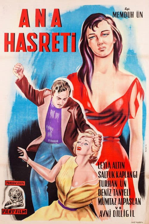 Ana Hasreti poster