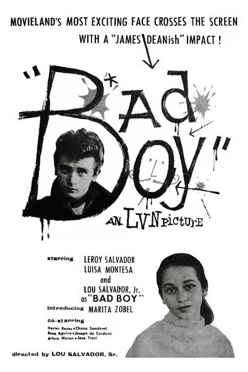Bad Boy poster