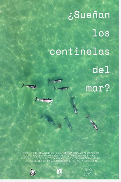 ¿Sueñan los centinelas del mar? poster