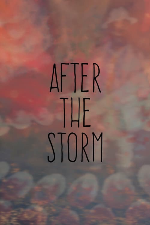 After the Storm poster
