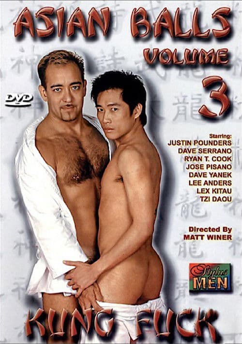Asian Balls 3: Kung Fuck poster