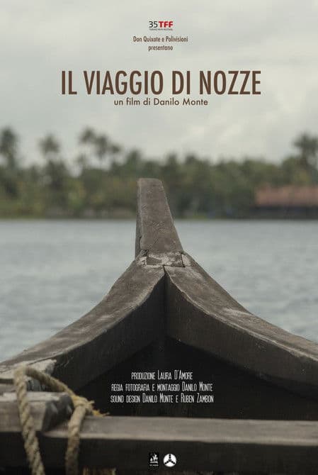 Il viaggio di nozze poster