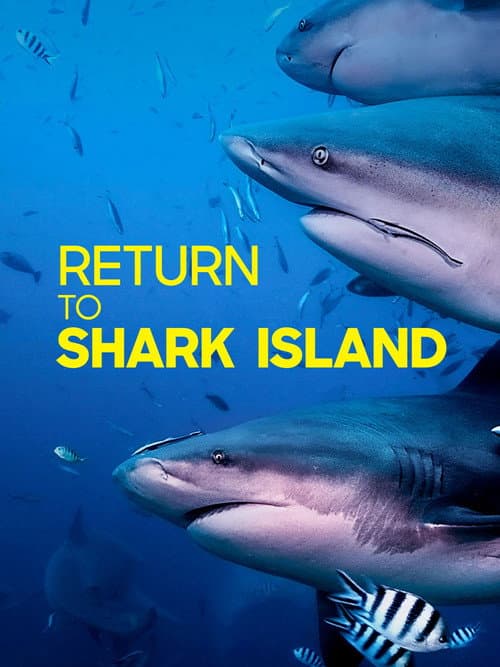 Return to Shark Island poster