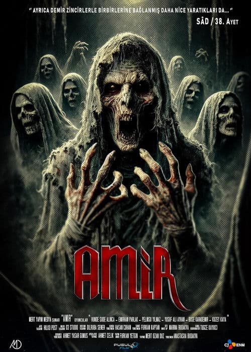 Amir poster