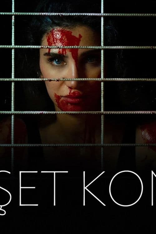 Dehşet Konağı poster