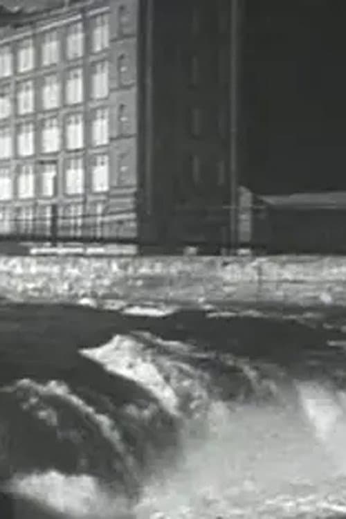 Narva kosk kevadel poster