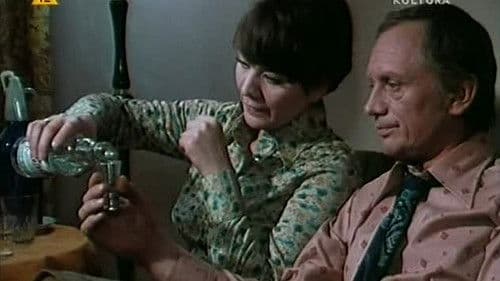 Niedziela pewnego małżeństwa w mieście przemysłowym średniej wielkości poster