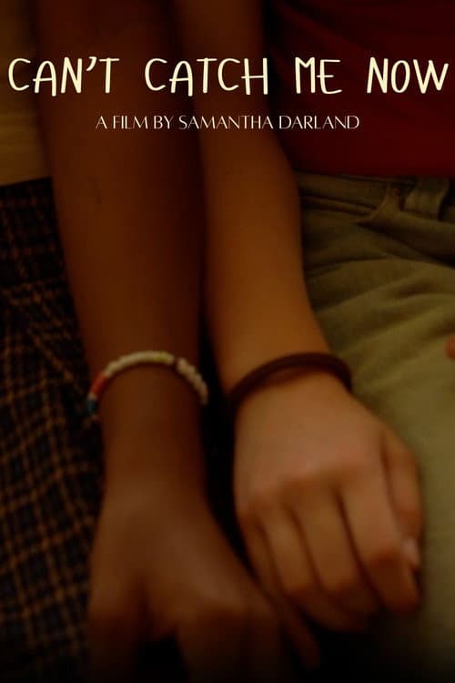 Can't Catch Me Now poster