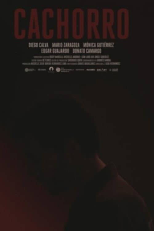 Cachorro poster