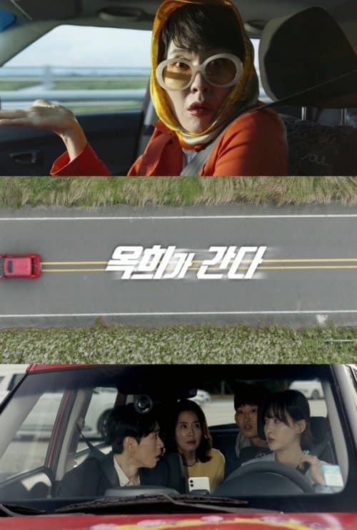 Extreme Family poster