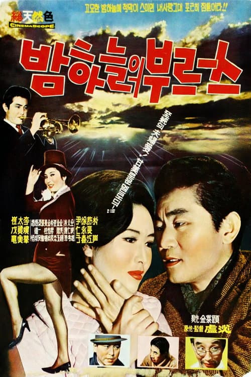 Night Blues poster
