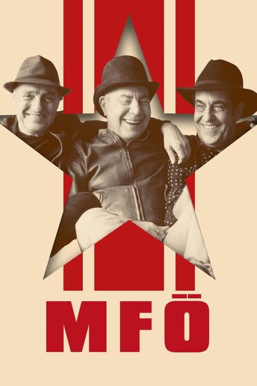 MFÖ Akustik poster