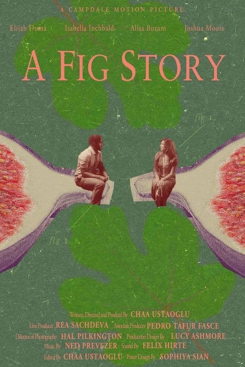A Fig Story poster