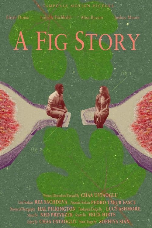 A Fig Story poster