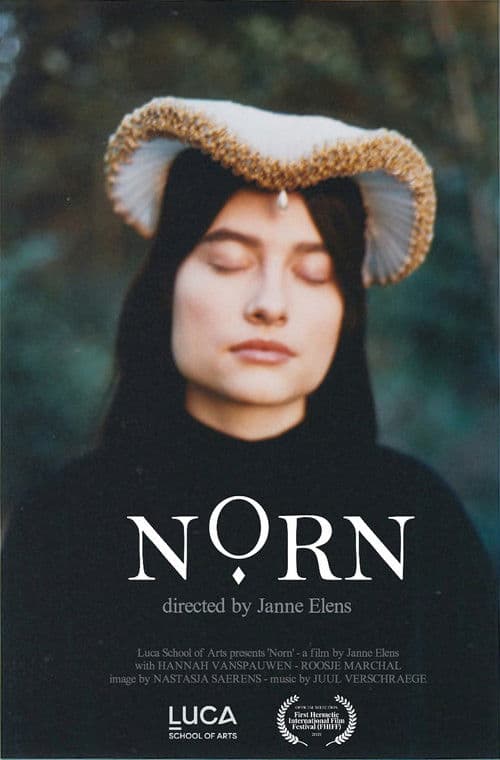 Norn poster