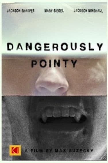 Dangerously Pointy poster