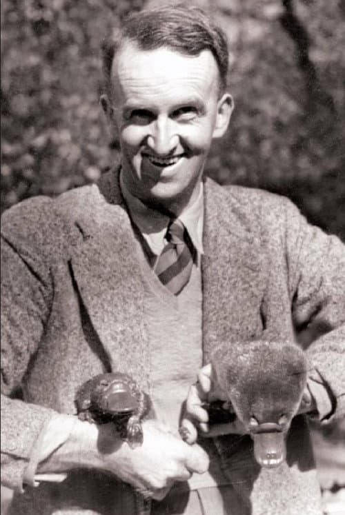 David Fleay profile photo