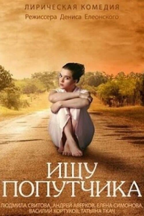 Looking for a Travel Companion poster