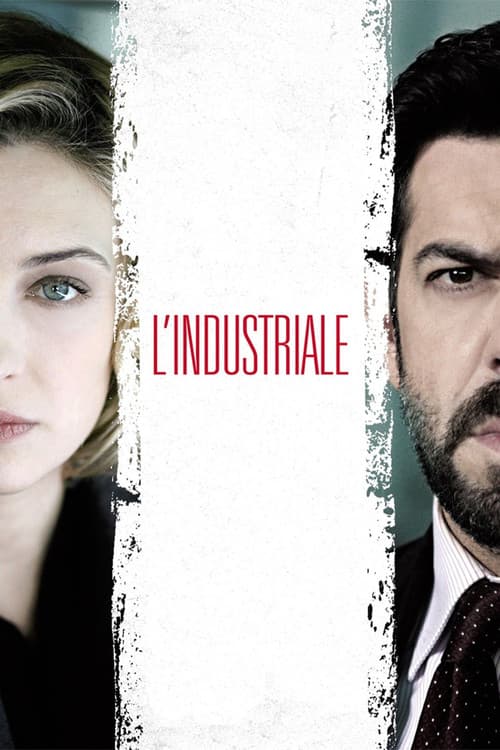 The Entrepreneur poster