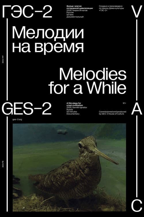 Melodies for a While poster