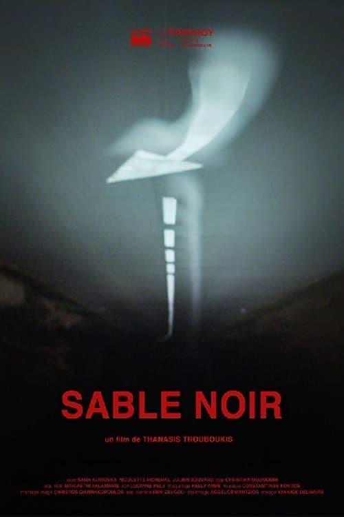 Sable noir poster