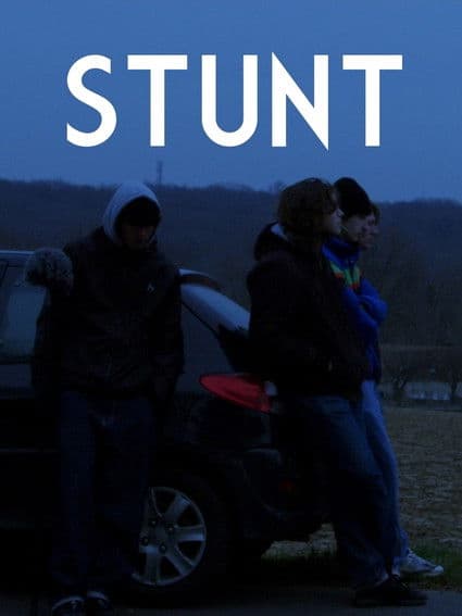 Stunt poster