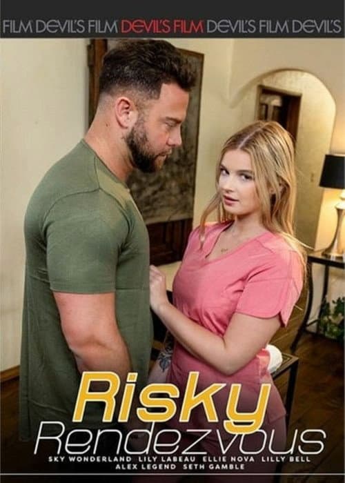 Risky Rendezvous poster