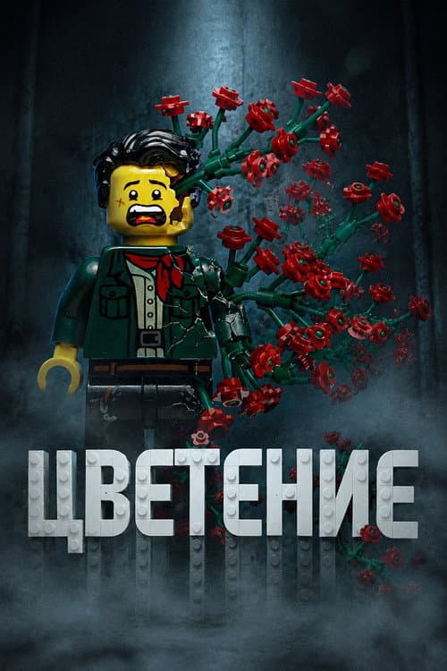 Bloom poster