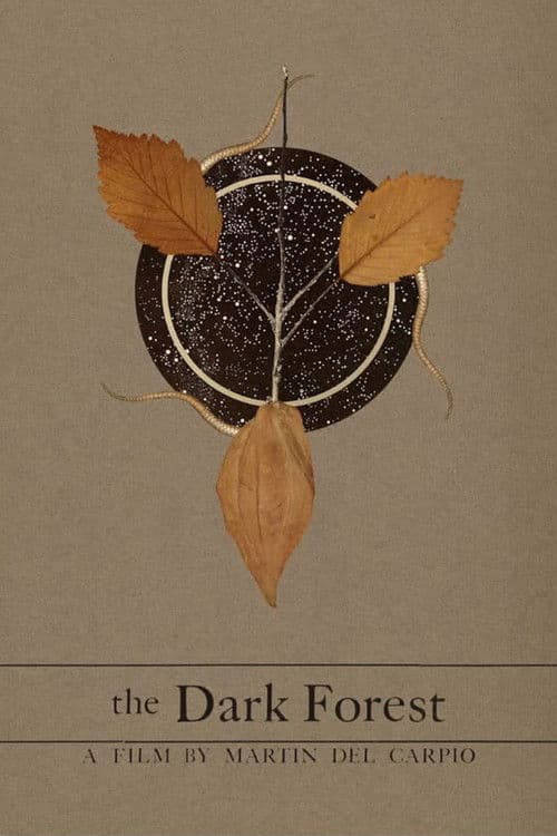 The Dark Forest poster