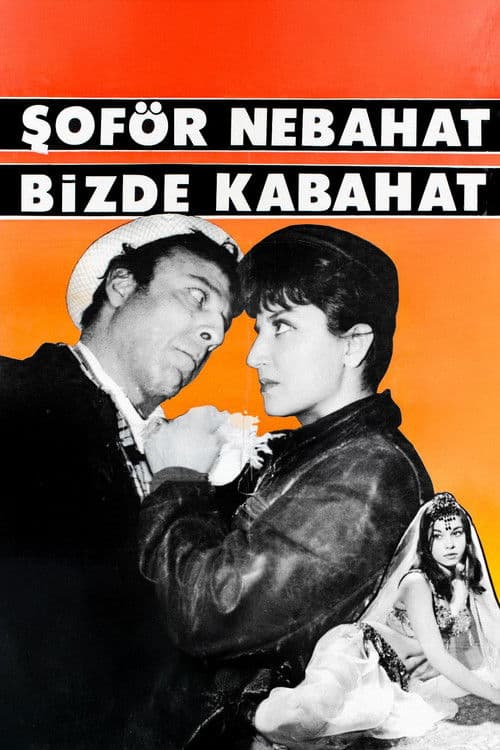 Şoför Nebahat Bizde Kabahat poster
