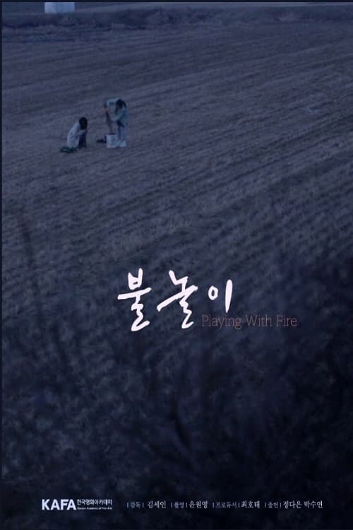 Playing with Fire poster