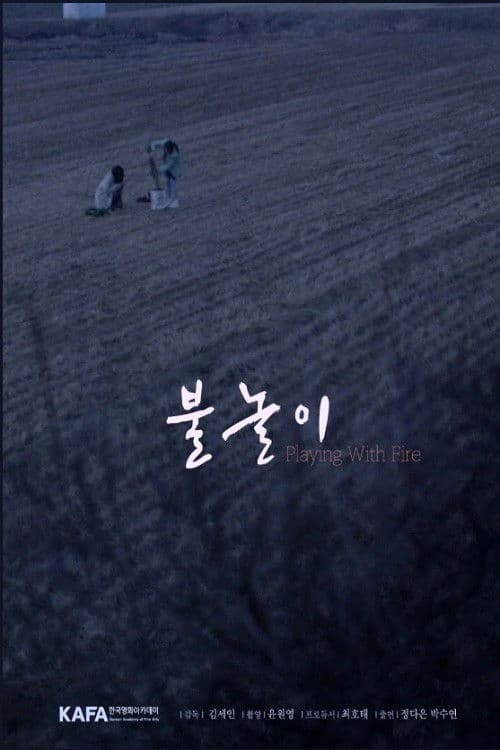 Playing with Fire poster