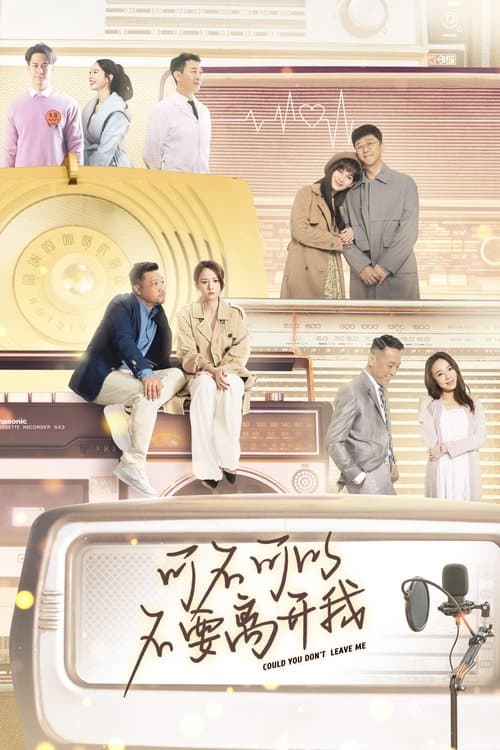 Could You Don't Leave Me poster