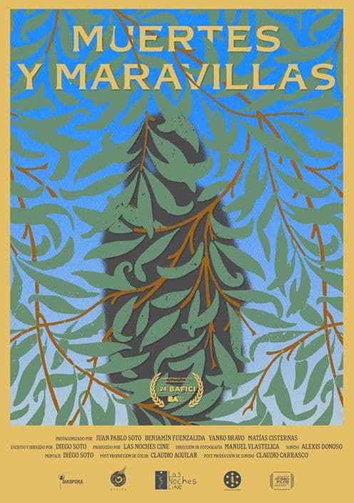 Deaths and Wonders poster