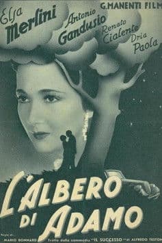 L'albero di Adamo poster