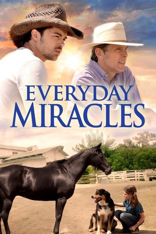 Everyday Miracles poster