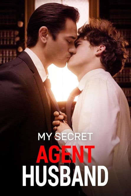 My Secret Agent Husband poster