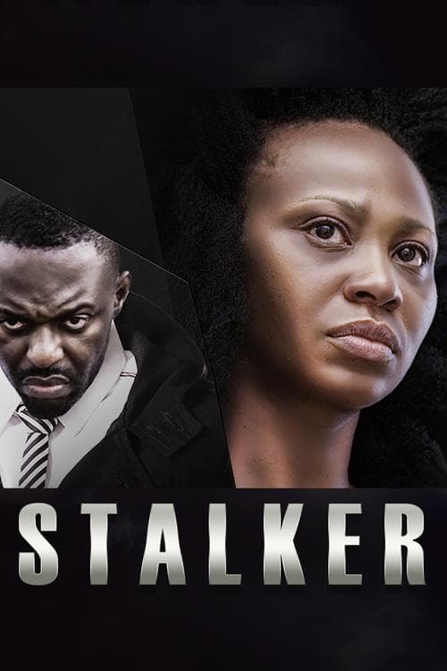 Stalker poster