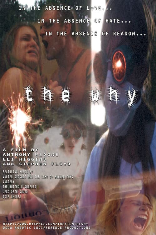 The Why poster