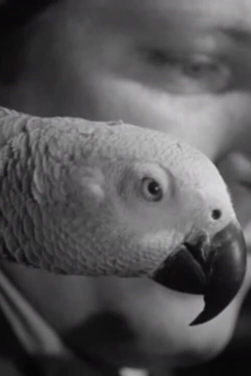 A Journal of the Outdoors No. 11 poster