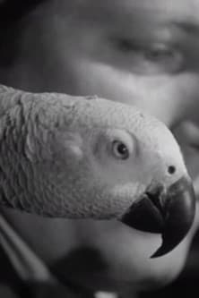 A Journal of the Outdoors No. 11 poster