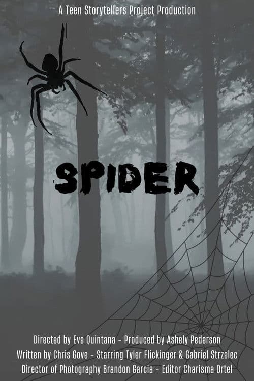 Spider poster