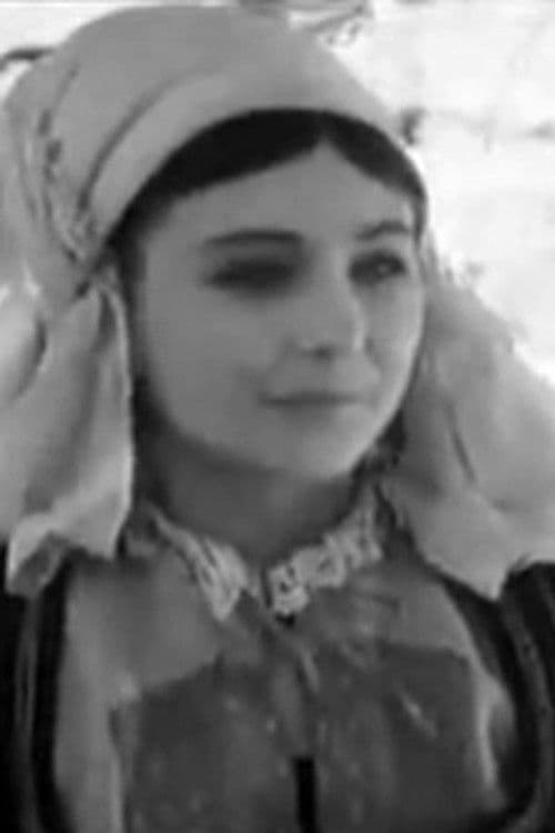 T. Likar profile photo