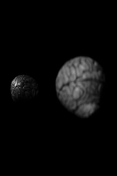 Brian; or, Brain poster