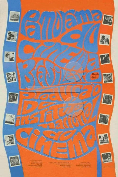 Panorama do Cinema Brasileiro poster